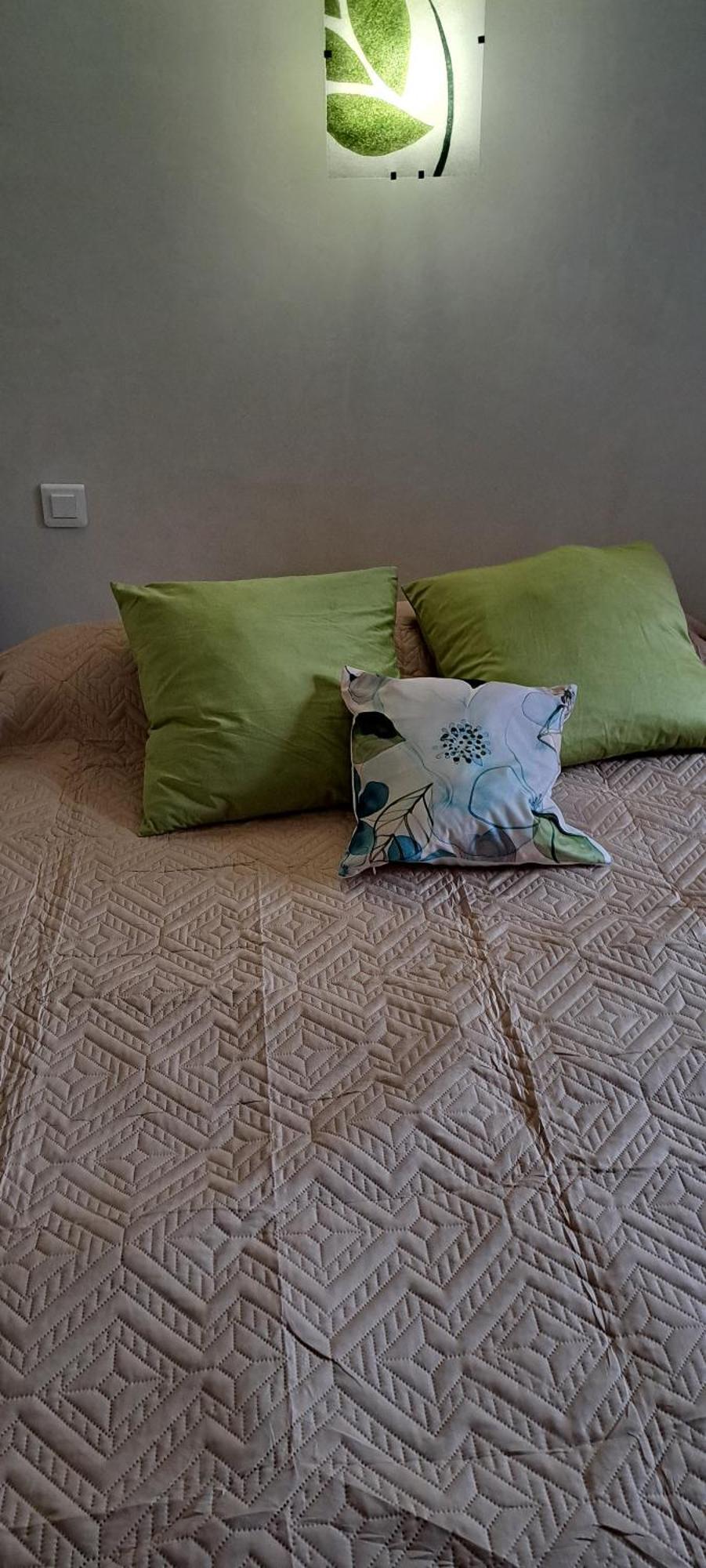 Appartement Chez Maxime à Fraissinet-de-Fourques Extérieur photo
